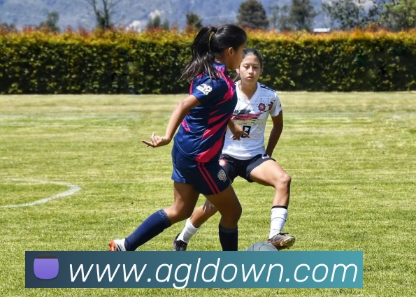 ag百家乐品牌故事